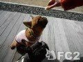 動画:そふとくり〜〜む
