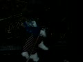 動画:お散歩中!!
