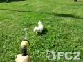 動画:ホースの水をキャッチするワンコ