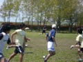 動画:20110424_2